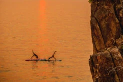 Starboard SUP 12' X 34" Go ASAP 2022 -WCK WaterSports Gear 2022 go allround Stand Up Paddle Board Starboard SUP Key Feature flat standing area 2 58970.1682724980