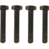 Malone Bolt Kit 2" (Set Of 4) 1 Malone Bolt Kit 2" (Set Of 4) -WCK WaterSports Gear 80mm20Mounting20Bolts 04517.1619808691