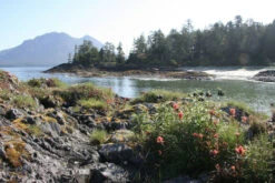 Escape To Clayoquot Sound | Finding Home In A Wild Place -WCK WaterSports Gear Clayoquot Dowd image03 860x1020 58186.1713646955