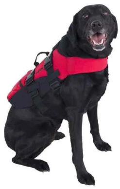 NRS Dog PFD -WCK WaterSports Gear Dog PFD on Dog 57638.1752704963