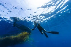 Hobie Mirage Outback | Kayak 17 Hobie Mirage Outback | Kayak -WCK WaterSports Gear Outback 2020 Example 1 43015.1708821171