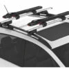 Yakima SUP Dawg -WCK WaterSports Gear SUP Dawg on Car 49554.1587081489