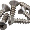 1" Tapping Screw (6ea) 2 1" Tapping Screw (6ea) -WCK WaterSports Gear Tapping Screw 13144.1752772288